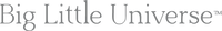 Big Little Universe