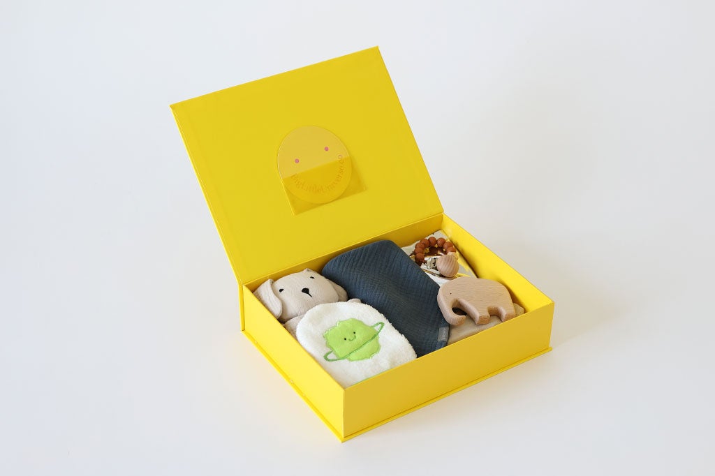 Baby Gift Box Lion